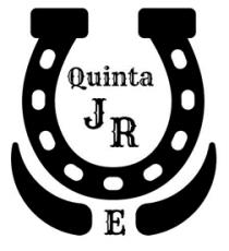 QUINTA JR E
