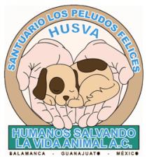SANTUARIO LOS PELUDOS FELICES HUSVA; HUMANOS SALVANDO LA VIDA ANIMAL A.C.