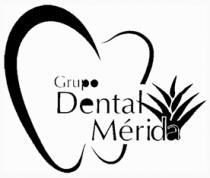GRUPO DENTAL MERIDA