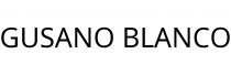 GUSANO BLANCO