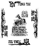 FEL-YNI