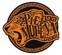 PIEL MORENA MX