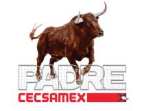 PADRE CECSAMEX