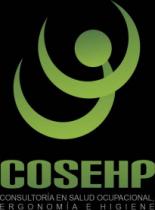 COSEHP CONSULTORÍA EN SALUD OCUPACIONAL; ERGONOMÍA E HIGIENE