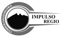 BMG COMERCIALIZADORA IMPULSO REGIO