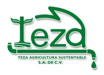 TEZA AGRICULTURA SUSTENTABLE