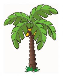 PALM TREE 4 EVER