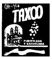 YOLI TAXCO