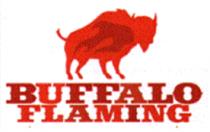 BUFFALO FLAMING