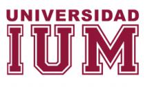 IUM INSTITUTO UNIVERSITARIO MEXIQUENSE