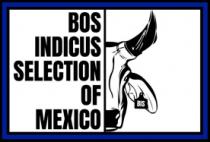 BOS INDICUS SELECTION OF MEXICO BIS