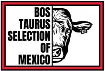 BOS TAURUS SELECTION OF MEXICO BTS