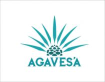 AGAVES'A