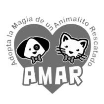 ADOPTA LA MAGIA DE UN ANIMALITO RESCATADO AMAR
