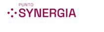 PUNTO SYNERGIA