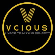 VCIOUS HYBRID TRAINNING CONCEPT