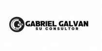 GABRIEL GALVAN SU CONSULTOR