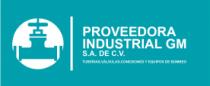 PROVEEDORA INDUSTRIAL GM S.A DE C.V.