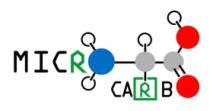 MICRO CARBO