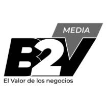 B2V BUSINESS TO VALUE