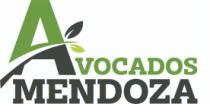 AVOCADOS MENDOZA