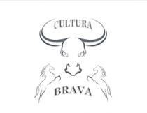 CULTURA BRAVA
