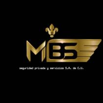 MBS SEGURIDAD PRIVADA Y SERVICIOS S.A. DE C.V.