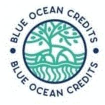 BLUE OCEAN CREDITS BLUE OCEAN CREDITS