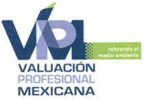 VPM VALUACIÓN PROFESIONAL MEXICANA