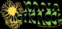 RANA GIRASOL
