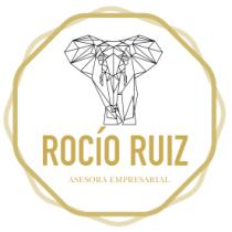 ROCIO RUIZ ASESORA