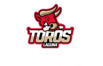 TOROS LAGUNA