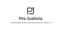 PJ PRO JUSTICIA PROFESIONALES EN POLÍTICAS PÚBLICAS Y ACCESO A LA JUSTICIA; S. C.