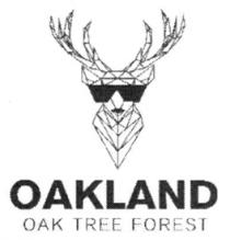 OAKLAND OAK TREE FOREST