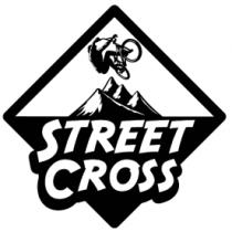 STREET CROSS