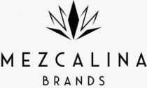 MEZCALINA BRANDS
