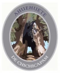 AHUEHUETE DE CHICHICAPAM
