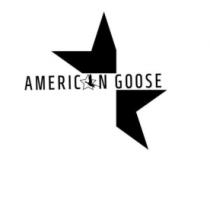 AMERIC N GOOSE