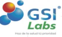 GSI LABS