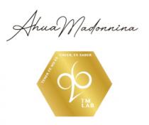 AHUA MADONNINA TM LAB