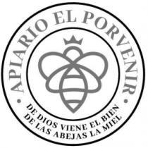 APIARIO EL PORVENIR DE DIOS VIENE EL BIEN DE LAS ABEJAS LA MIEL