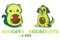 AVOGATO AGUAUCATE BY EL APACHE