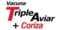 VACUNA TRIPLE AVIAR +CORIZA