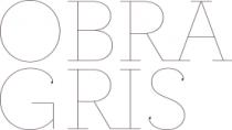 OBRA GRIS