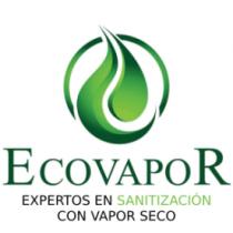 ECOVAPOR EXPERTOS EN SANITIZACIÓN CON VAPOR SECO
