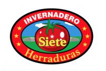 INVERNADERO SIETE HERRADURAS