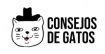 CONSEJOS DE GATOS