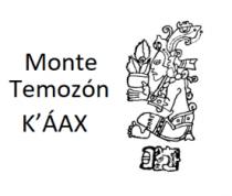 MONTE TEMOZÓN K´ÁAX