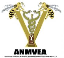 ANMVEA ASOCIACIÓN NACIONAL DE MÉDICOS VETERINARIOS ESPECIALISTAS EN ABEJAS A.C.
