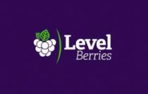 LEVEL BERRIES